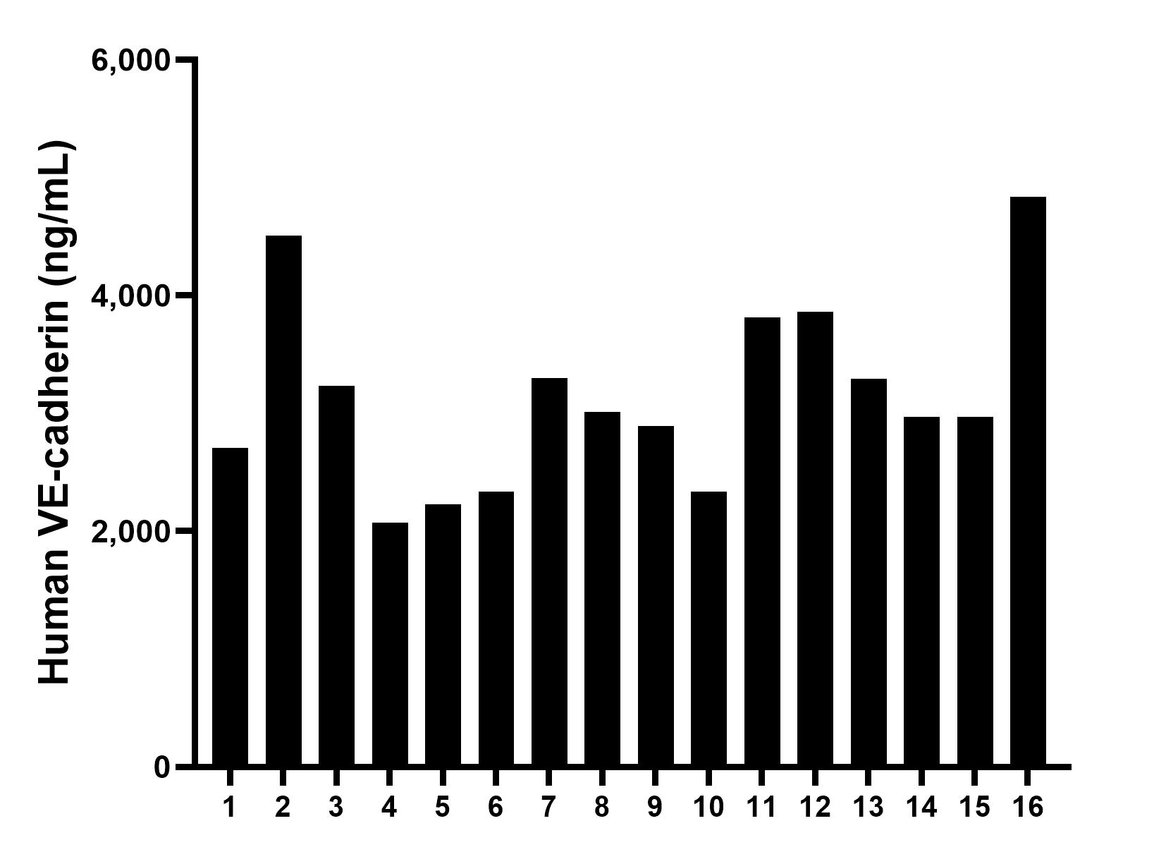 Serum of sixteen humans was measured. The human VE-cadherin/CD144 concentration of detected samples was determined to be 3,148.2 ng/mL with a range of 2,070.2 - 4,839.1 pg/mL.